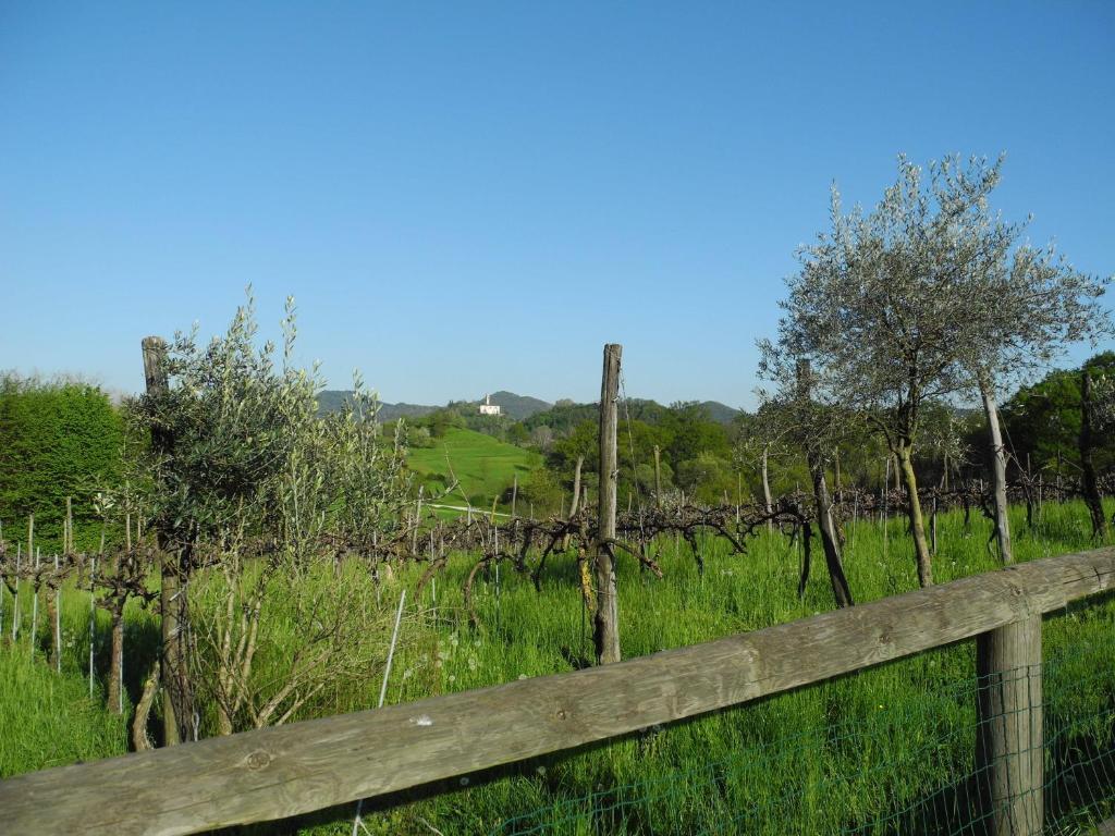 Вилла Agriturismo Cornolere Castelcucco Экстерьер фото