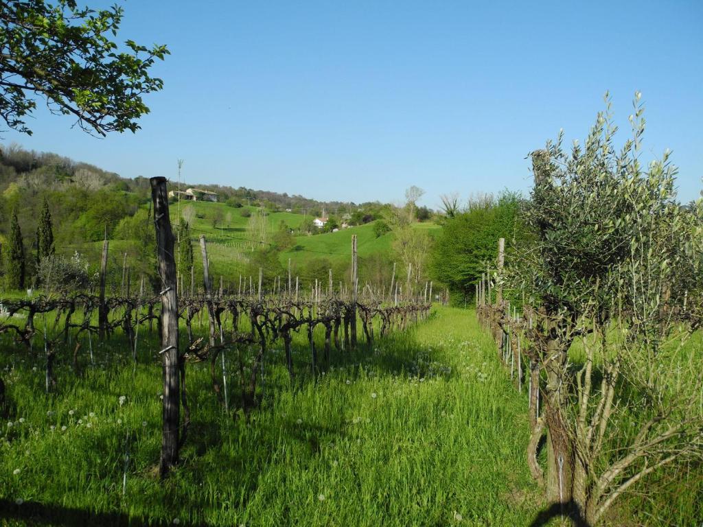 Вилла Agriturismo Cornolere Castelcucco Экстерьер фото